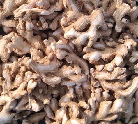 dehydrated ginger  products