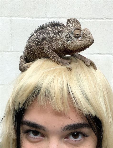 Company reps explain how the m rewards login system changed