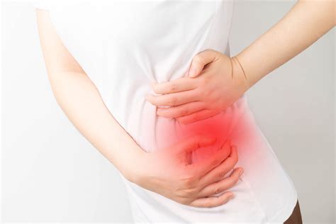 Bladder Stones on Ultrasound: A Guide for Clinicians | EchoNous