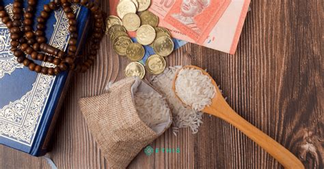 islamic social finance critical elements  fast track  growth