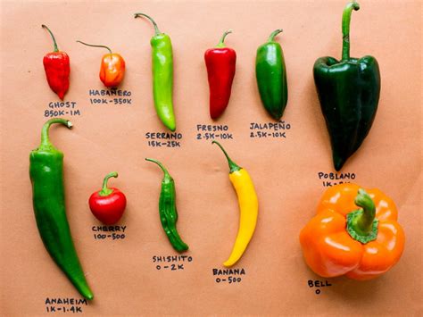 types  chili peppers chart