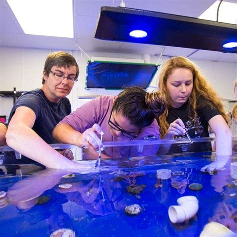 B.S. Marine Biology - Unity College
