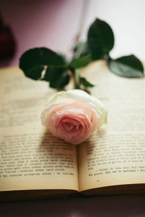 aesthetic pale wallpaper 10