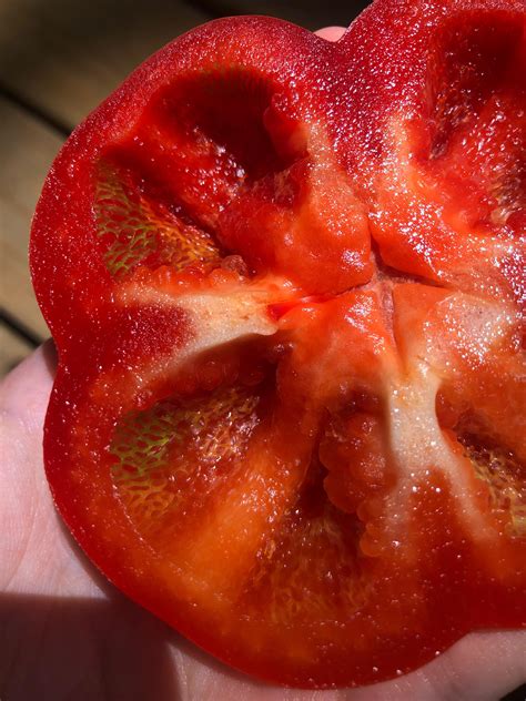 My red bell pepper had green veins : r/mildlyinteresting