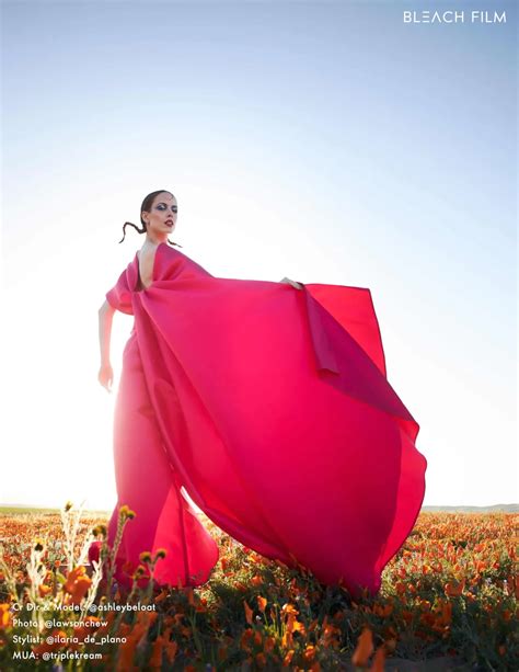 Ashley BeLoat: From the Chrysalis - Bleach Film