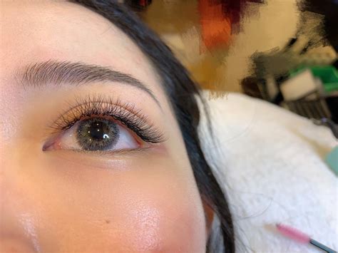 lash brow