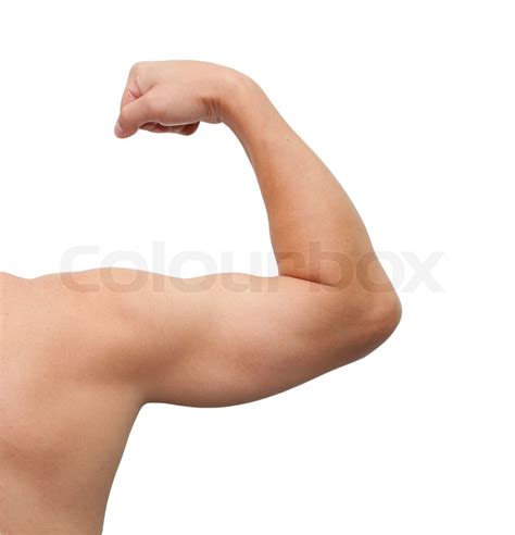The male arm isolated on white background | Stock image | Colourbox