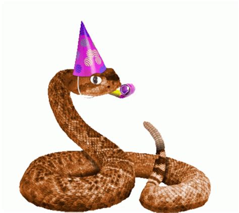 Birthday Snake Happy Birthday Sticker - Birthday Snake Happy Birthday ...