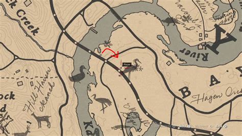 Reddish, Snowy, Little Egret Plumes & Spoonbill Spawn Location RED DEAD ...