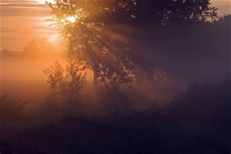 Kuehler Morgen (Forum für Naturfotografen)