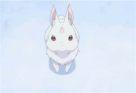 rezero season  bunny memes imgflip