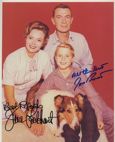 Lassie Signed Photo, Custom Frame - Contemporary - Prints And Posters