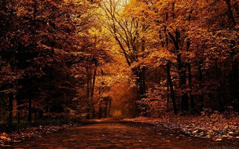 Autumn Night Desktop Wallpapers - Top Free Autumn Night Desktop
