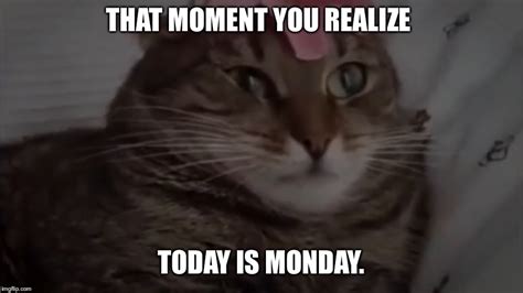 Monday Morning Meme Funny - Funny PNG