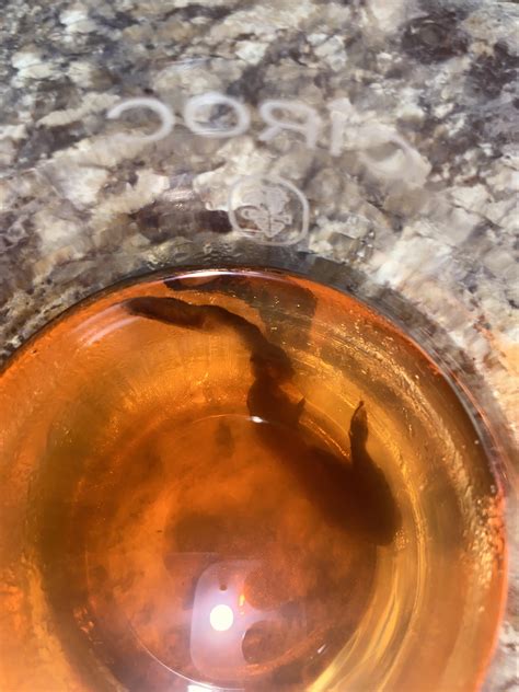 i found this slimy weird object in a store bought carton of sweet tea