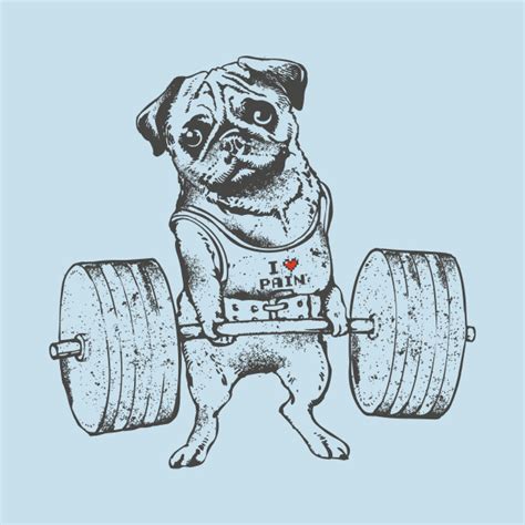 Pug Sketch at PaintingValley.com | Explore collection of Pug Sketch