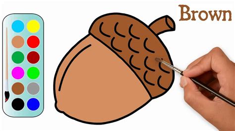 Acorn drawing science - Olfetool