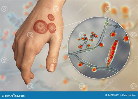 manuum cartoons illustrations vector stock images  pictures