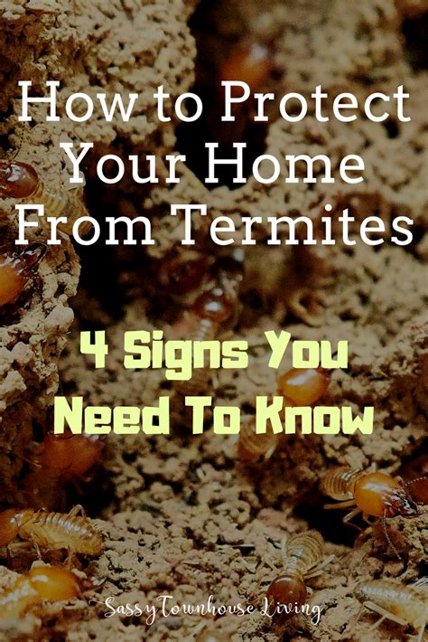 how to protect home from termites