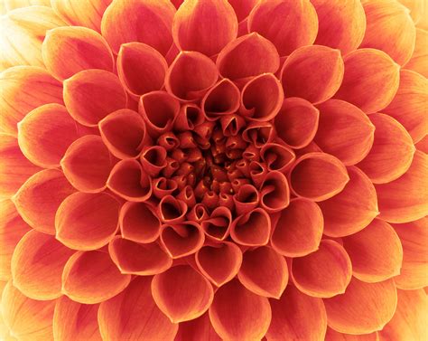 Referentie: Eigen inzicht | Langedijk Consult Coaching