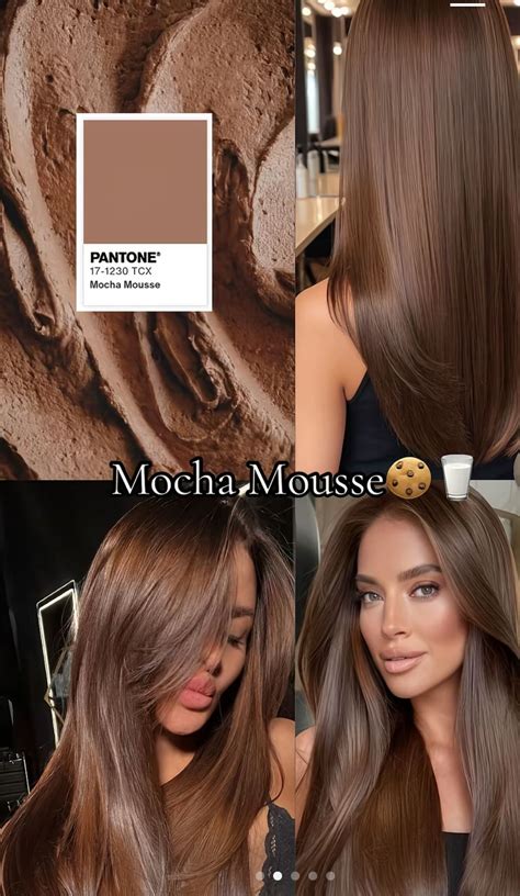 mocha mousse highlights  black hair mocha mouse hair color light