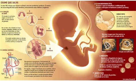 Com Quantos Meses Ouve O Coração Do Bebe - Coração Acelerado Na Gravidez Primeiro Trimestre - RETOEDU