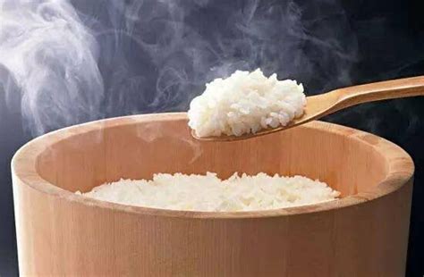 distinguish fresh rice   rice