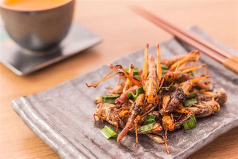 mythbuster     crustacean allergy   avoid