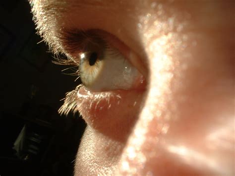 side  eye  photo  freeimages