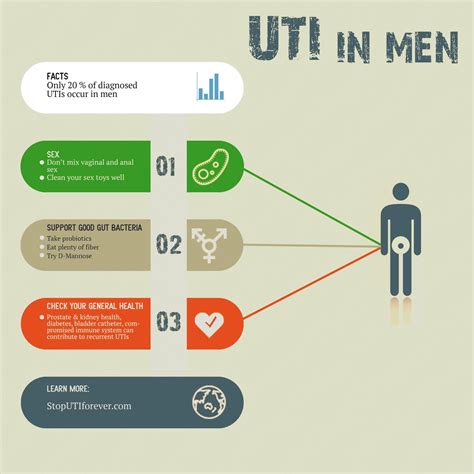 How To Prevent Uti In Men - Requirementpollution5