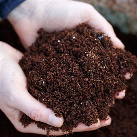 How To Recycle Old Potting Soil at Louise Collier blog