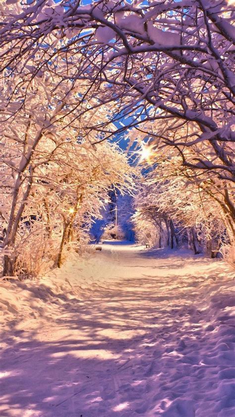 Download Trail In Seasons Wallpaper | Wallpapers.com