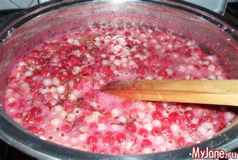 Желе из красной (белой) смородины. Быстро и вкусно - ягоды, желе ...
