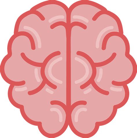 Find hd free Brain Clipart Metacognition - Brain Clipart - Clip Art Library