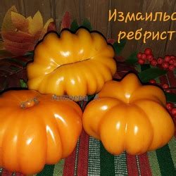 Томат Измаильский ребристый: описание сорта, отзывы, фото | tomatland.ru