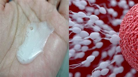 How to Increase Sperm or Semen Thickness - Improve Semens Volume - YouTube
