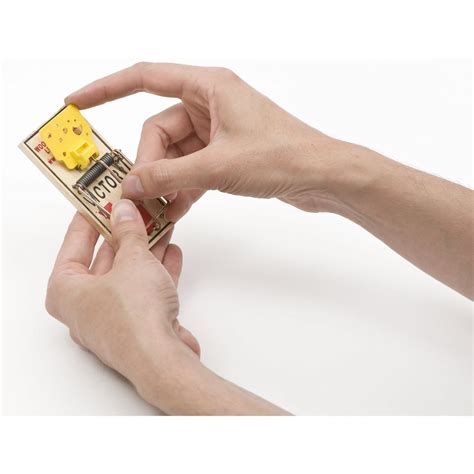 VICTOR Easy Set Mouse Trap - 2Pk — 🛍️ The Retail Market