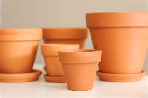 Terracotta Pots & Saucers 1.5" to 20" - Urban Garden Center