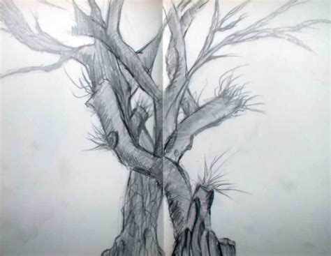 tree     boatanical garden   quick drawing flickr