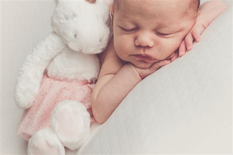 styled baby girl photography  fantasic baby photography offer