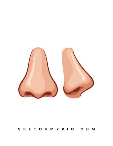 sketchmypic drawing    draw  nose