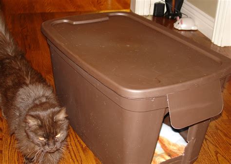 diy cat shelter outdoor 5