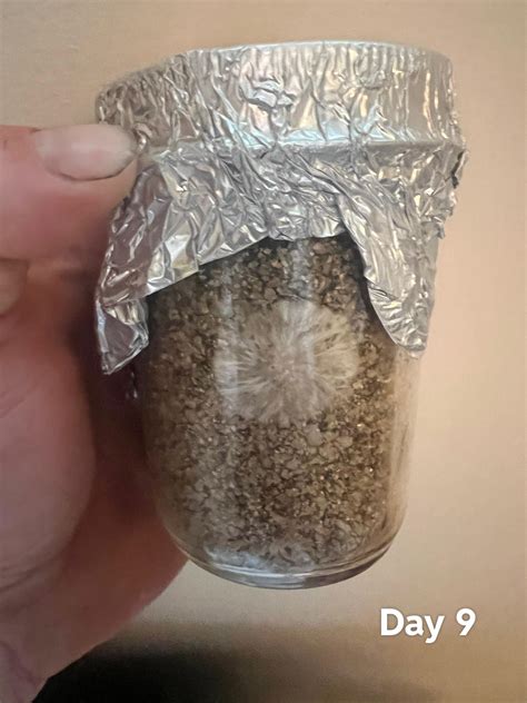 Normal growth? First attempt at growing, worried because none of my