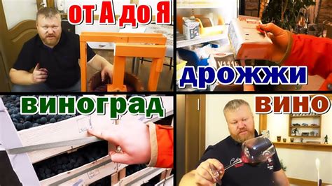 Домашнее вино от А до Я / из винограда изабелла + молдова / Рецепт вина ...