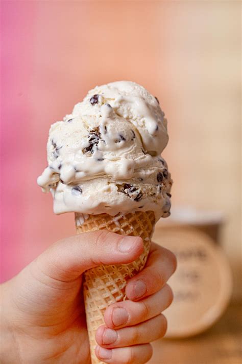 Chocolate Ice Cream With Chocolate Chips