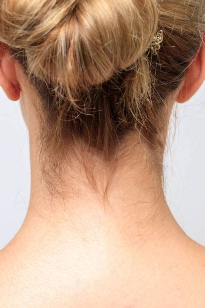 top  nape  neck stock  pictures  images istock