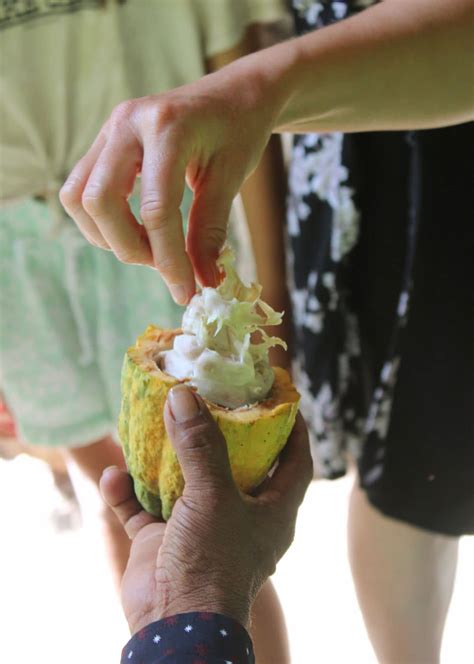 Experience Maya Culture in Southern Belize - Untame Belize Tours