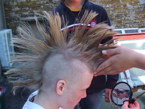 tallskinnykiwi  mohawk   family