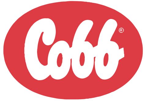 Cobb debateu mudanças de manejo para o frango moderno com jovens