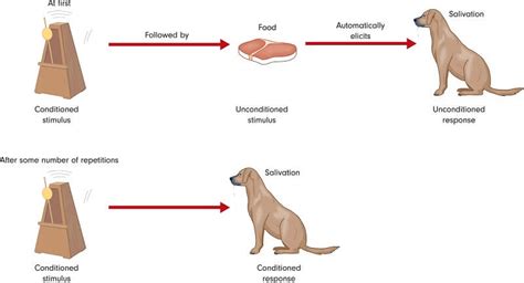 Implicit Memory – The Definitive Guide – Biology Dictionary
